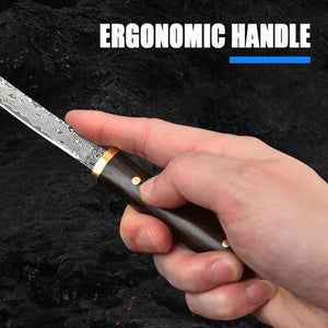 💥Order Today Only And Get A Free Exquisite Storage Box💥Damascus Pattern Outdoor High Hardness Survival Knife